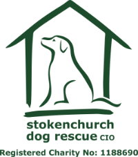 Stokenchurch Dog Rescue Charity
