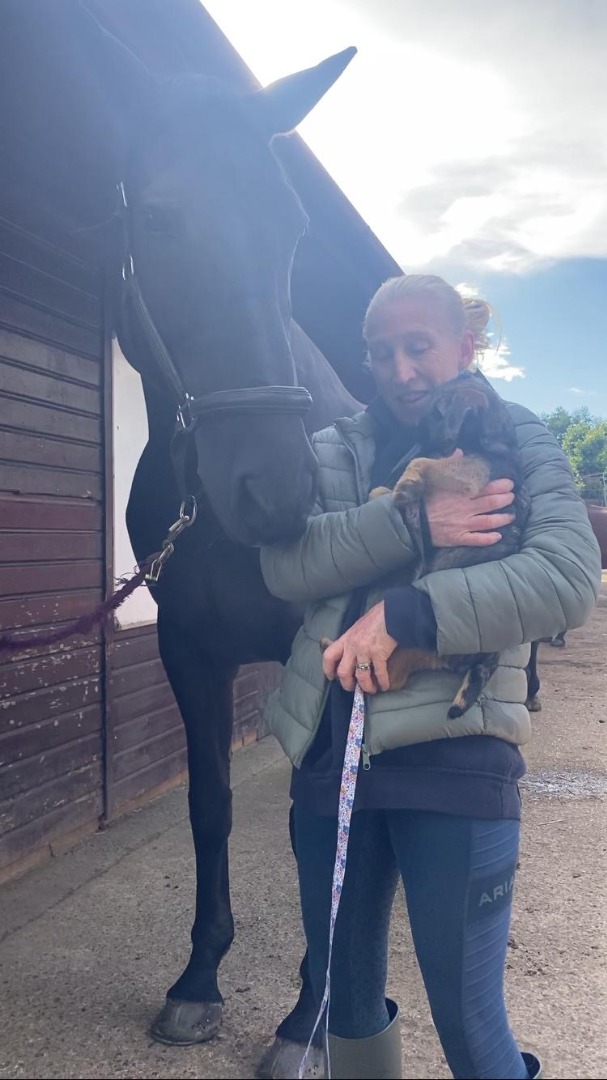 Laura surrounded by dogs