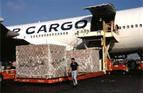 Airfreight to any worldwide destination