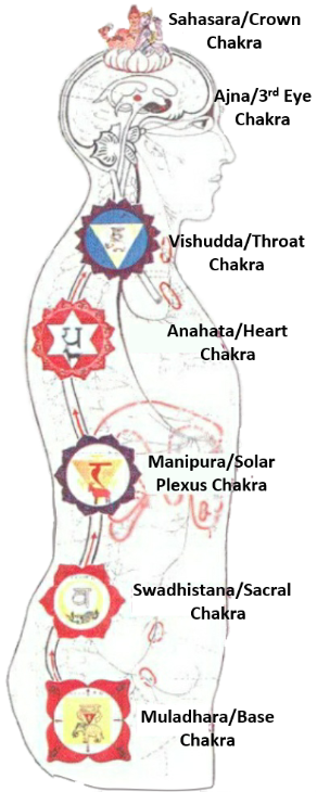 chakra theory greg angell