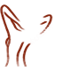 body icon