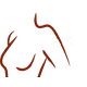 breast icon