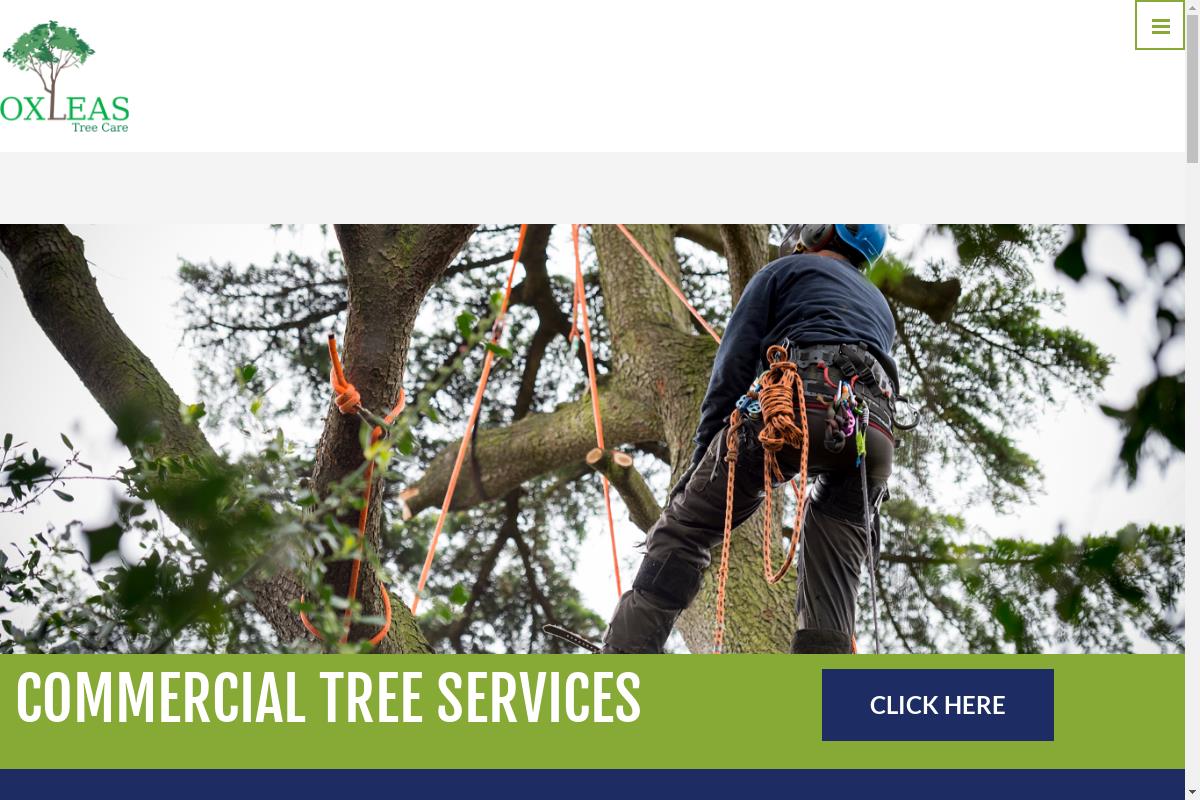 Tree Surgeon South London, Oxleas Tree Care Services South London