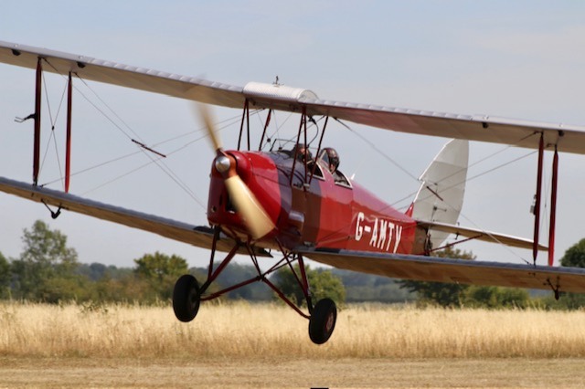 G amty in autumn field