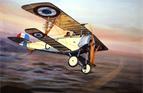 <a href='http://www.bruce-mackay.com/Provenance#nieuport'>Find Out More >></a>