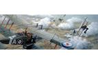 <a href='http://www.bruce-mackay.com/Provenance#SE8 DOGFIGHT'>Find Out More >></a>