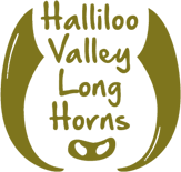 Halliloo valey logo