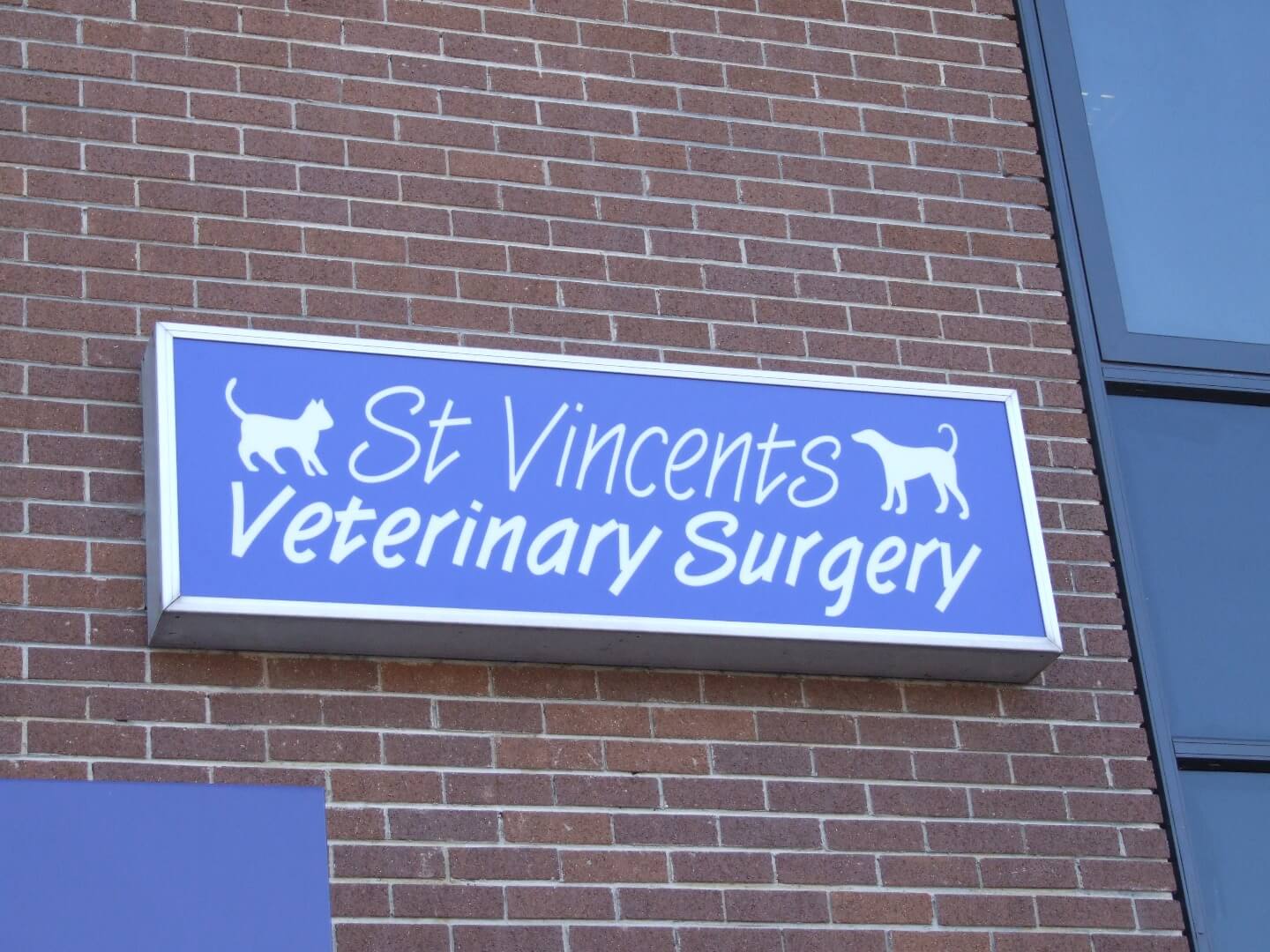 vet surgery