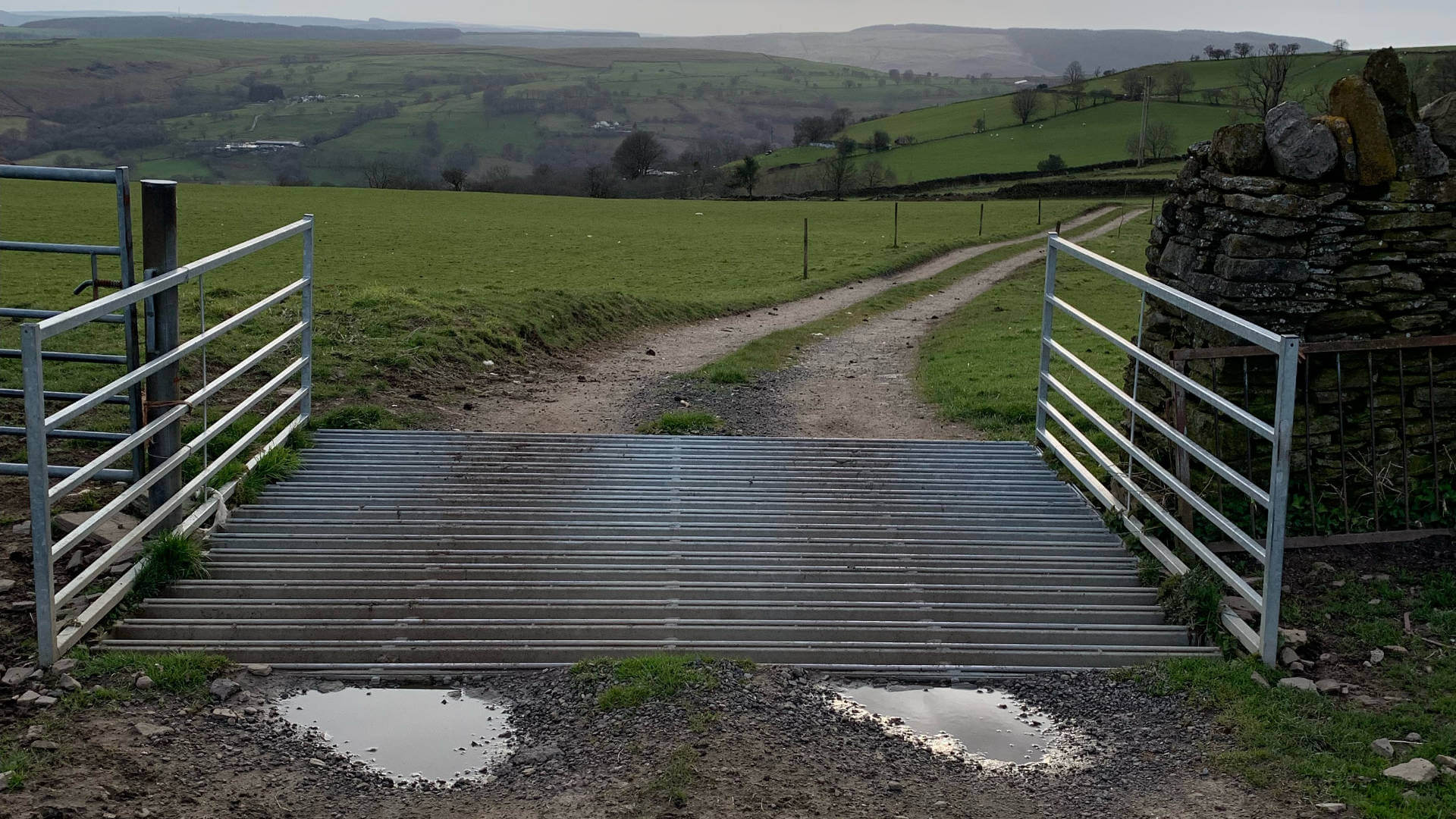 Sheep Proof Grid Hopkins Cattle Grids