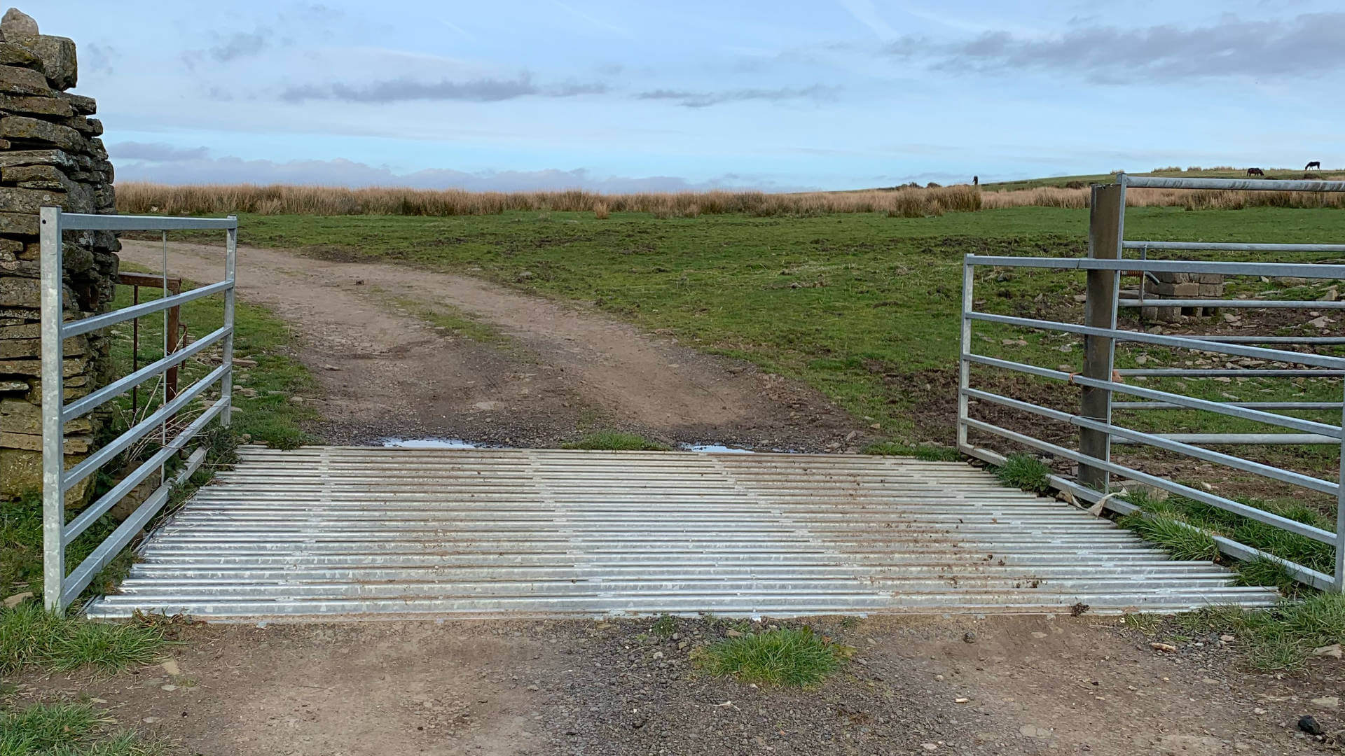 Sheep Proof Grid Hopkins Cattle Grids