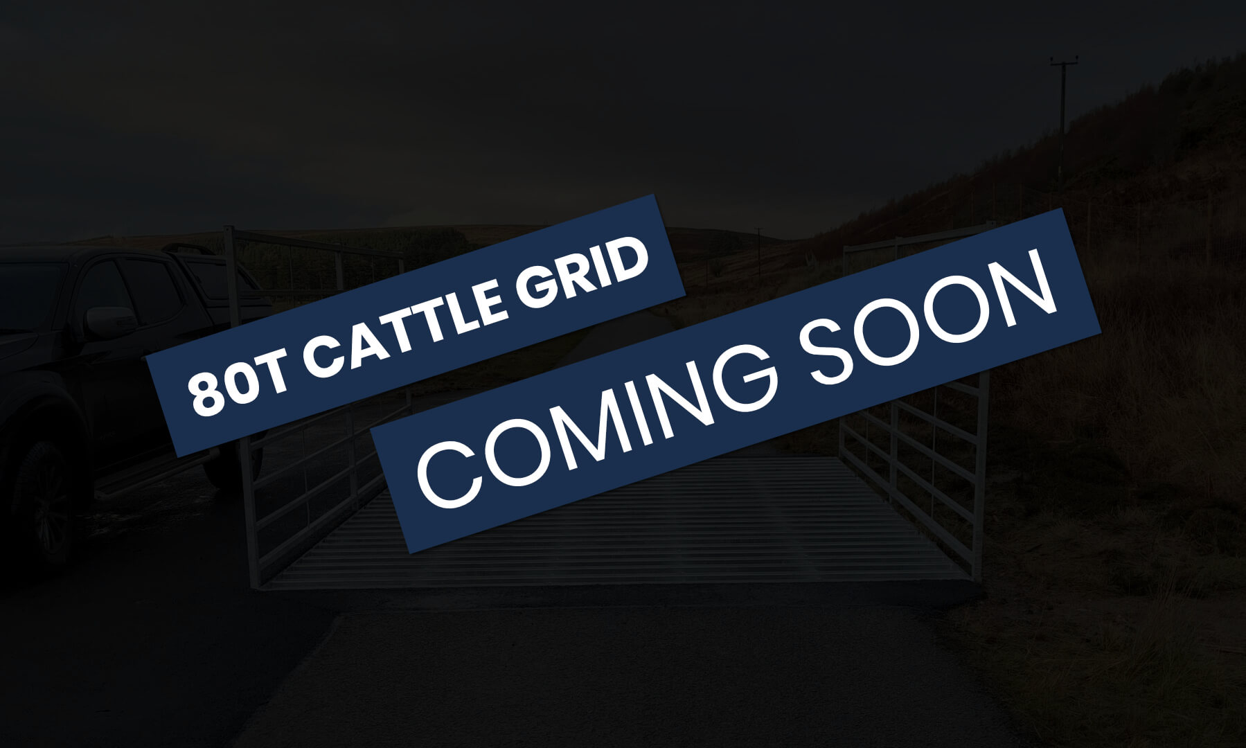 80 ton cattle grid page