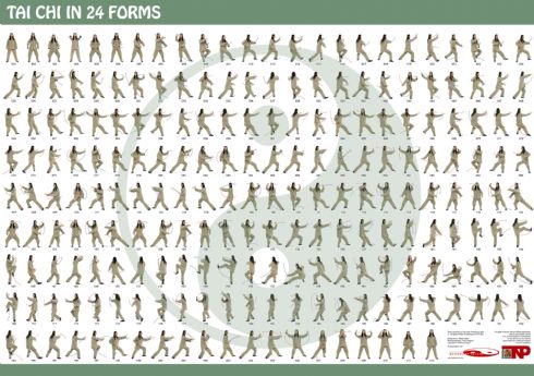 Tai Chi in 24 forms Wall Chart : Southampton Tai Chi