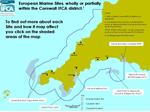 EMS interactive map
