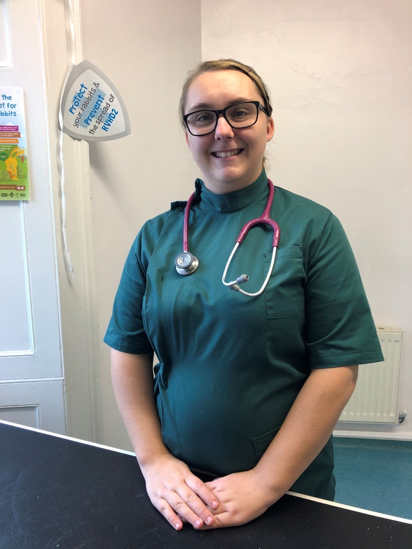 Meet the Vets Kingston Vets