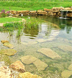 Swimming pond and waterfall feature in Somerset