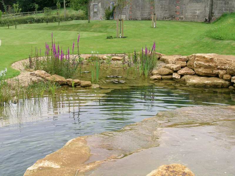stone-lined pond with varying depths