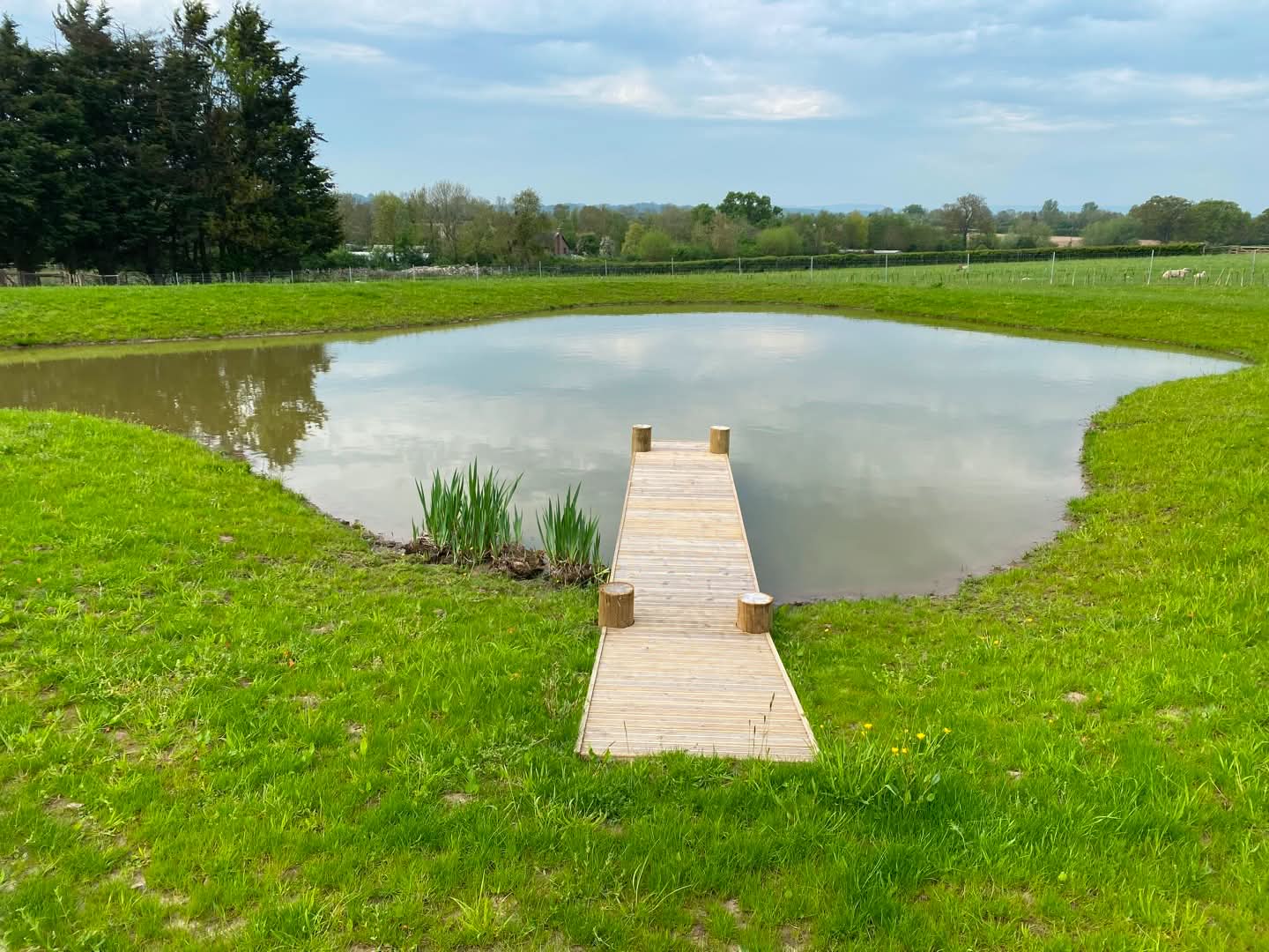 Wildlife ponds