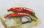 Chillies, garlic and rosemary, Dorset. Watercolour on paper 5in x 7in.
