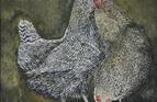 Two hens. Watercolour on paper 11in x 8in.
