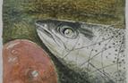 Salmon Head. Watercolour on paper 3in x 3in.
