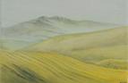 East of Aix, Provence. Oil on canvas 5in x 7in.