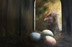 Mrs Murray and her eggs. Oil on canvas 10in x 12in. SOLD