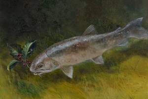 Trout with holly. Oil on board 10in x 12in. SOLD.