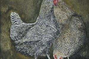 Two hens. Watercolour on paper 11in x 8in. 