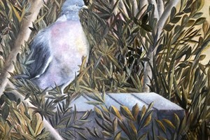 There's no such thing as just a pigeon. Oil on linen. 30cm x 40cm