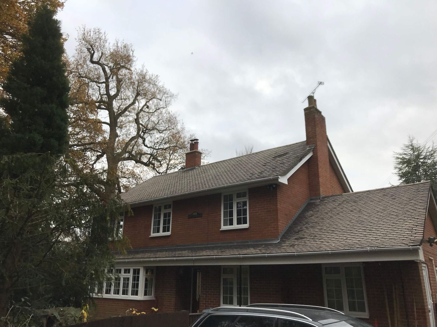 House with cleaned roofs after