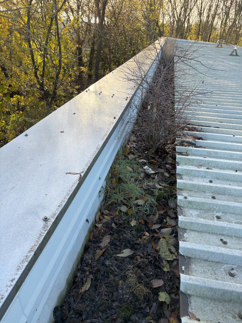 Metal roof with dirty gutter