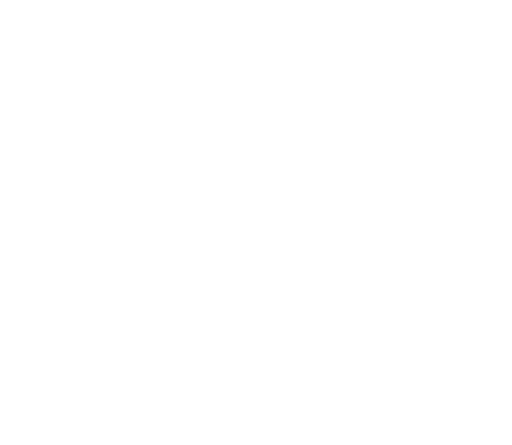 Braintree Shotokan Karate Club | B.S.K.C | Self Discipline Icon