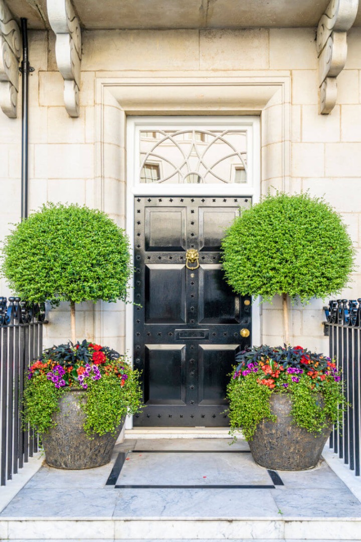 beautiful house with plant in front