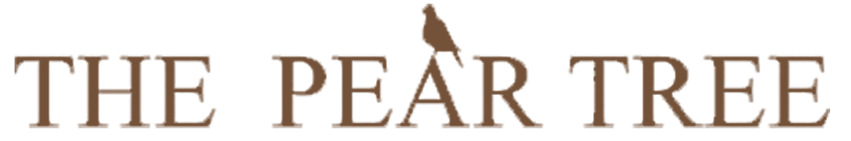 Logo brown