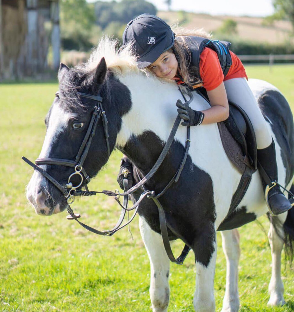 Welcome To Valley Farm Equestrian Centre Ltd Valley Farm Equestrian Centre Ltd