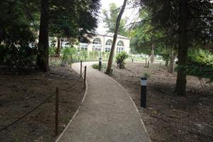 Renovate and transform the old kennel block to a working recreational area including café with new footpaths through the forest, kerbing, flagging, foundations and new underground drainage system.