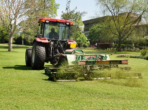 grass_cutting