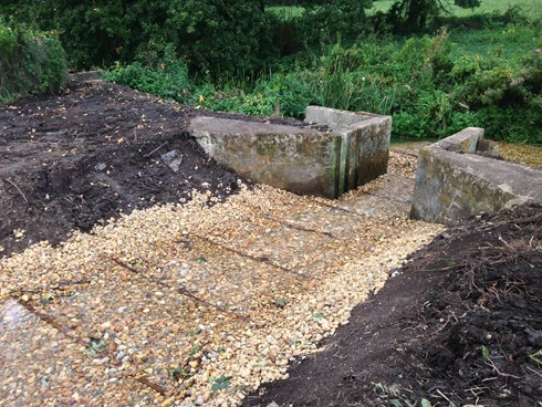 Wetland eel ramp