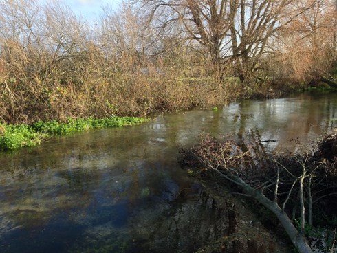 Large locally-sourced wood pinned to the river bank