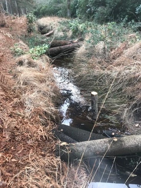 A series of leaky dams installed on the Ripley Brook using locally-sources wood