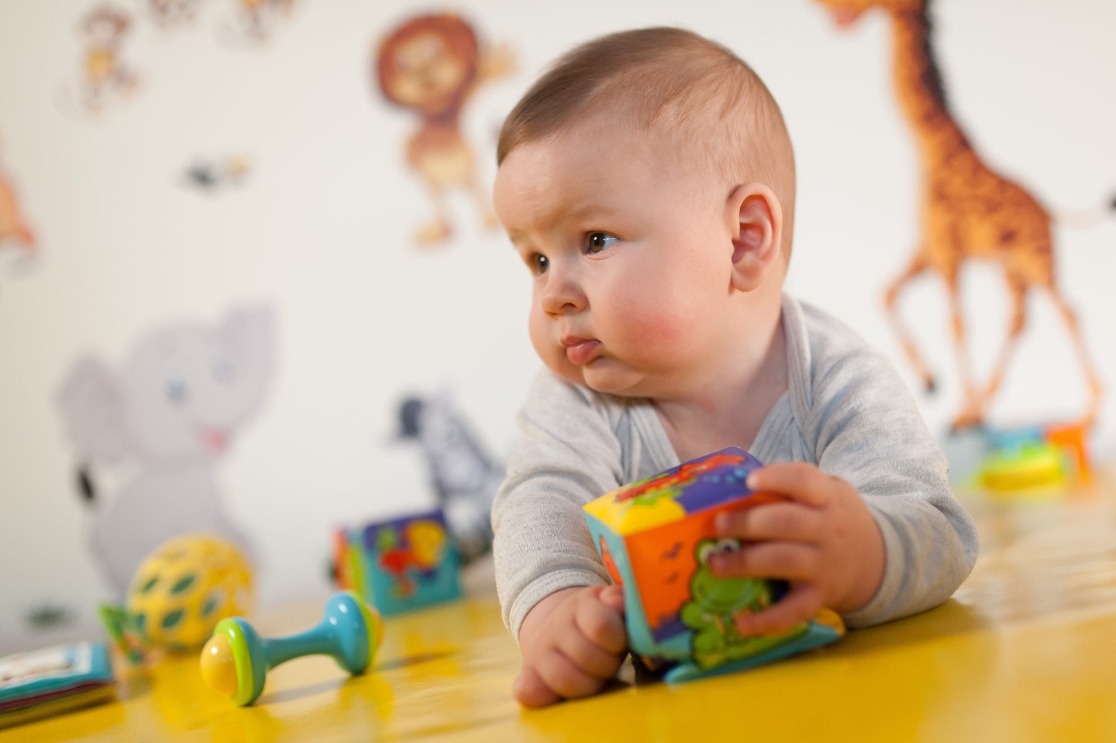 Portrait of cute baby boy playing