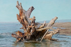 Beached Root IX
Oil on board
1364 x 914 mm
Original painting and limited edition Fine Art  Giclée Print available