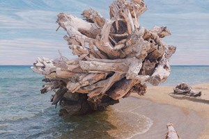 Beached Root VI  1280 x 1010mm  
 Original SOLD 
Limited Edition Gicleé Prints  available