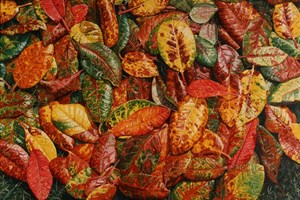 Rhododendron Leaves 760 x 510mm
Original and Limited Edition Gicleé Print  available