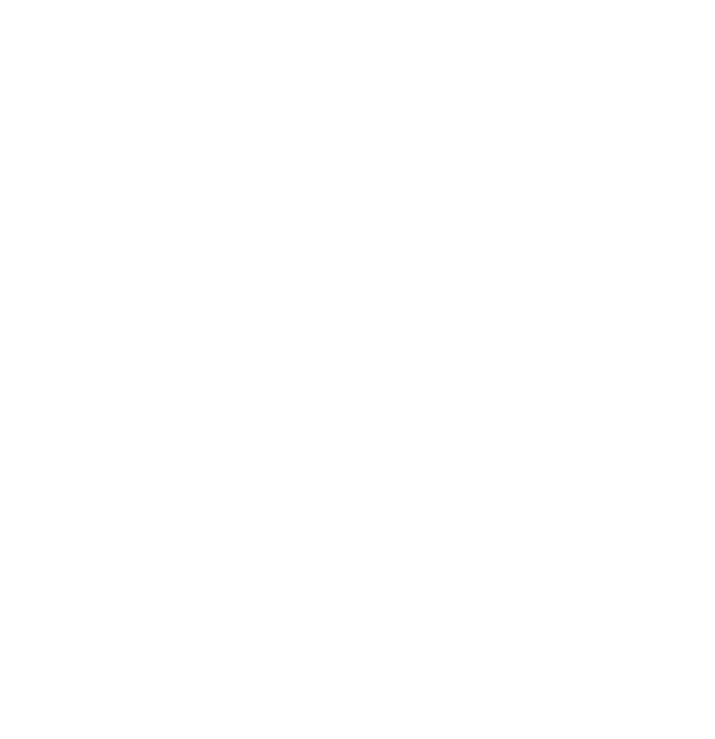 our team