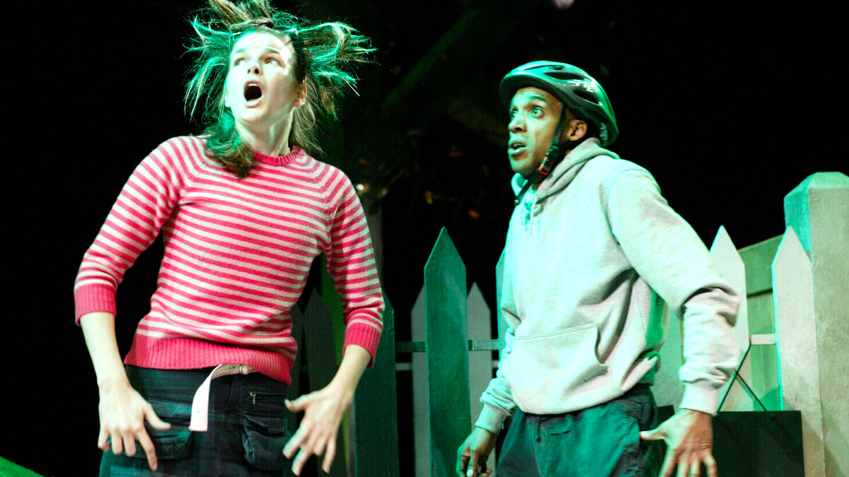 Meteorite lisa michael