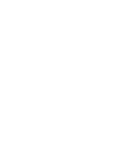 Dunlop Logo