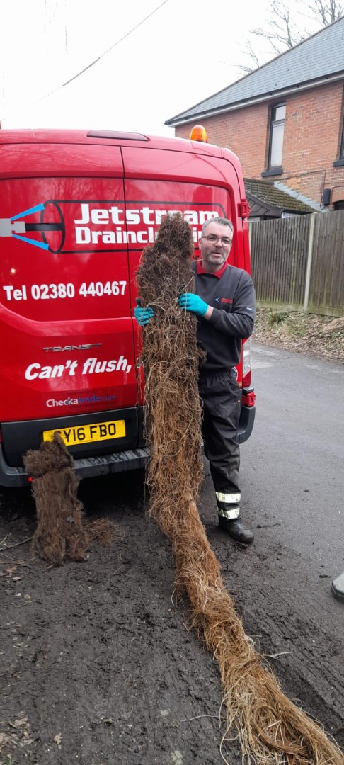 Man near van with roots