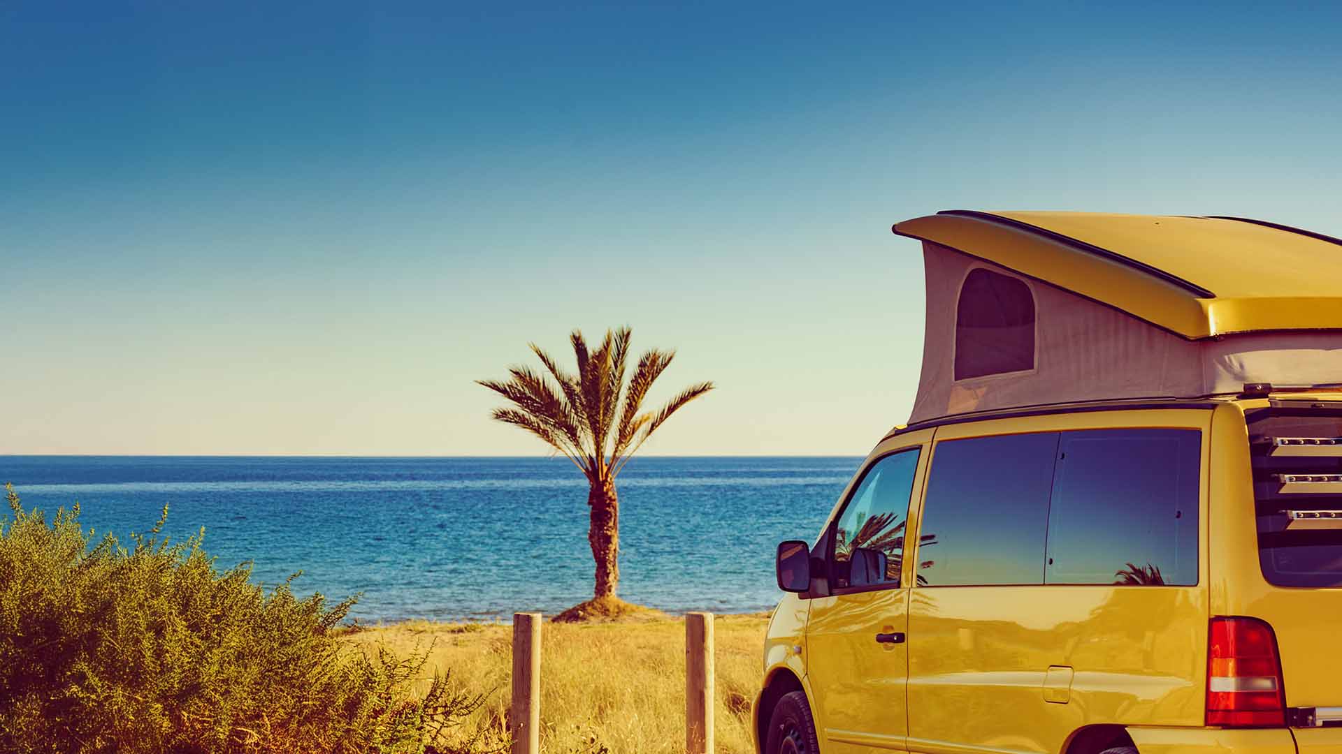 Wild Camp - Campervan Converter