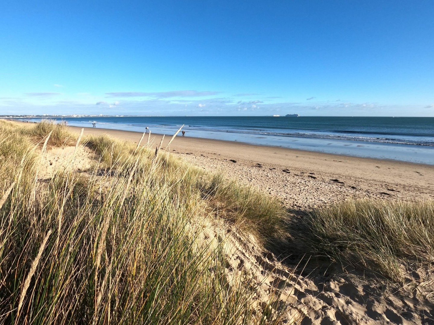 Southern IFCA | SIFCA | View of the Sea from the Coast